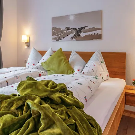 Apartament Anna Mayrhofen