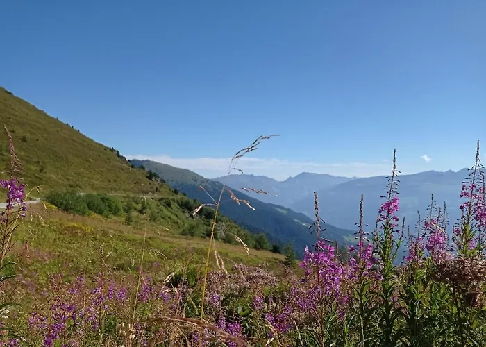 Anna Appartement Mayrhofen
